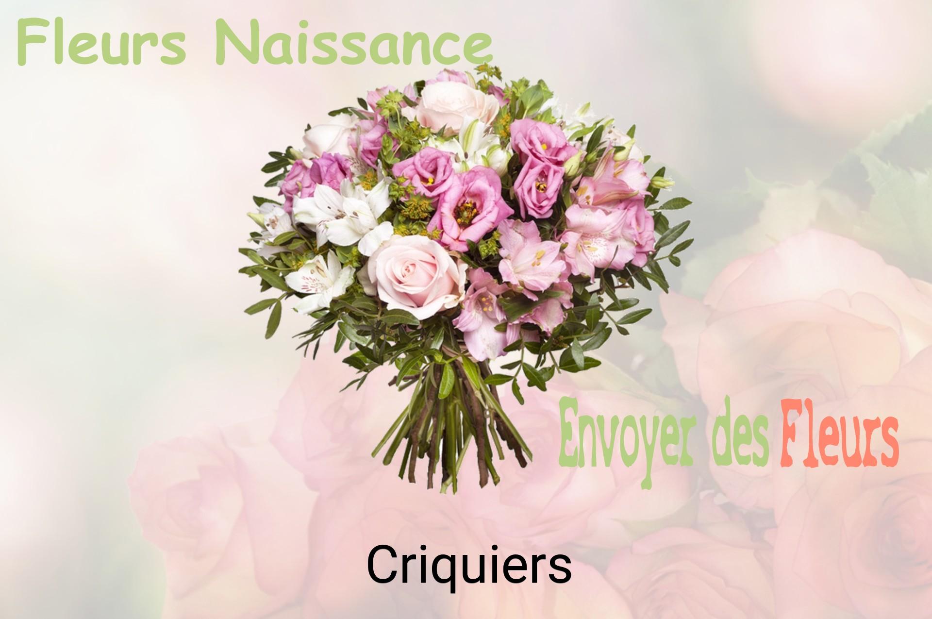 Bouquet de fleurs de naissance livré à Criquiers
