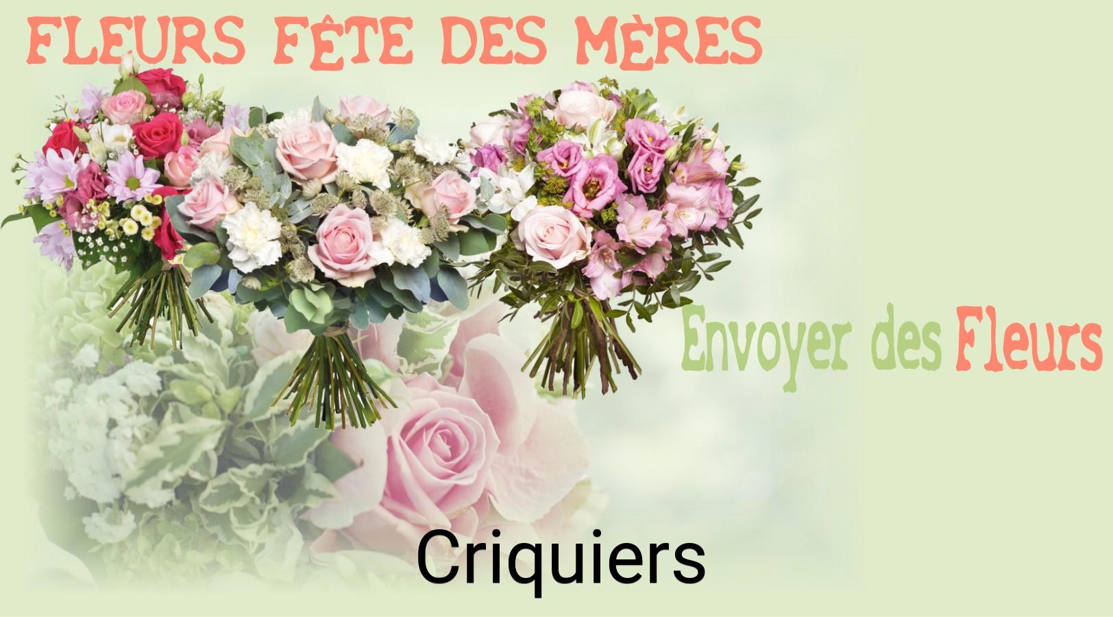 Bouquet de Fête des Mères livré à Criquiers